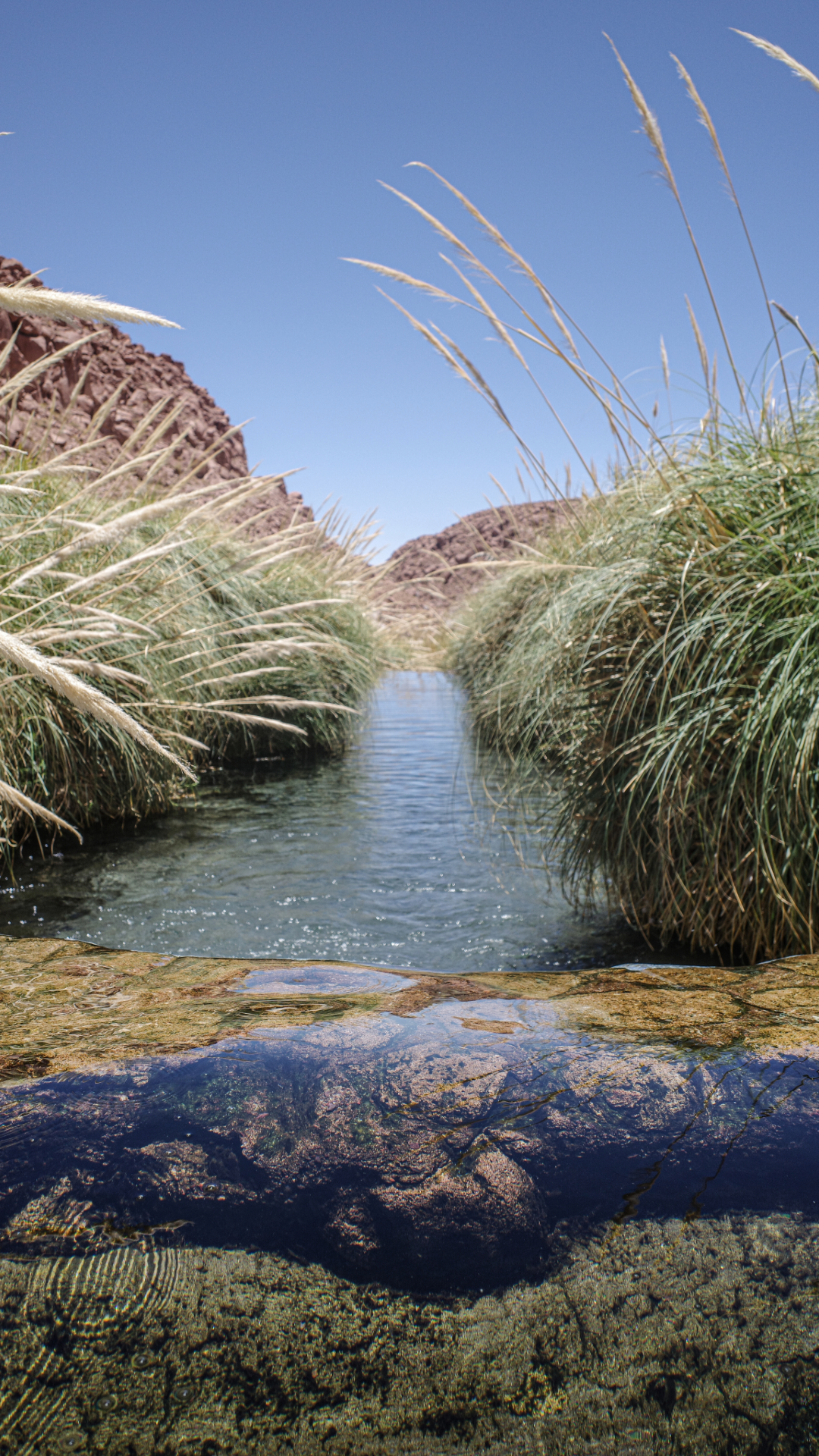 Imagen mostrando una poza de aguas termales cristalinas del río Puritama rodeada de naturaleza. San Pedro de Atacama.